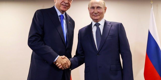 Erdogan putin