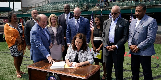 Whitmer Vetoes $20M In Pro-life Adoption Funding; Rips Crisis Pregnancy ...