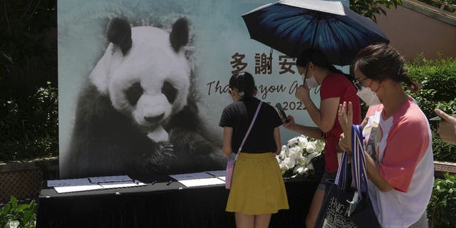 Visitors write notes to mourn the death of panda An An at Ocean Park.  Condolence books have been set up at the park's Hong Kong Jockey Club Sichuan Treasures exhibition.