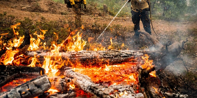 Firefighters mop up hot spots while battling the Oak Fire in the Jerseydale community of Mariposa County, California. They are part of Task Force Rattlesnake, a program comprised of Cal Fire and California National Guard firefighters.