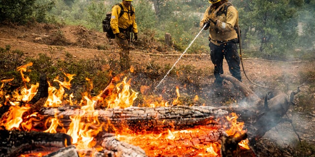 Firefighters mop up hot spots while battling the Oak Fire in the Jerseydale community of Mariposa County, California. They are part of Task Force Rattlesnake, a program comprised of Cal Fire and California National Guard firefighters.