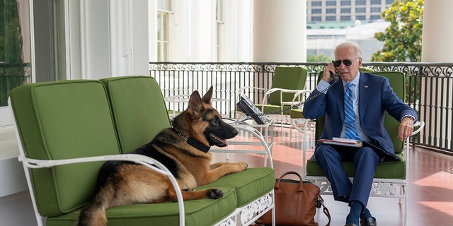 President Joe Biden speaks with White House Chief of Staff Ron Klain on July 25, 2022, while his pet German Shepherd is resting nearby on the White House's Truman Balcony.