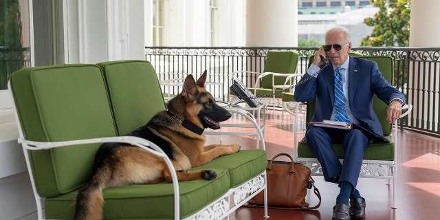 President Joe Biden speaks with White House Chief of Staff Ron Klain on July 25, 2022, while his pet German Shepherd is resting nearby on the White House's Truman Balcony.