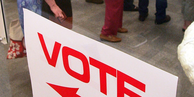 Voters stand in line waiting for a ballot for the North Carolina primary at a library in Raleigh, N.C.