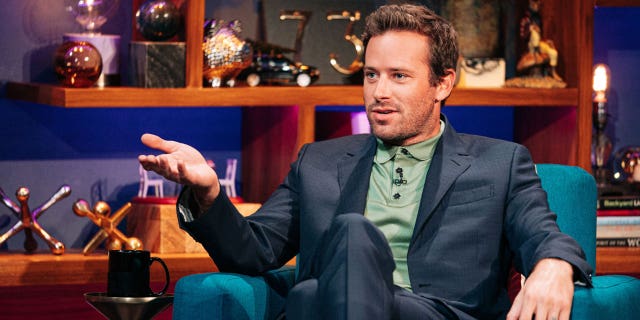 Armie Hammer on TV