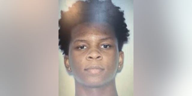 Kidnapping suspect, 19-year-old Cameron Hopkins.