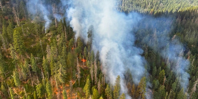 In this image released by the National Park Service, smoke rises from the Washburn Fire near the lower portion of the Mariposa Grove in Yosemite National Park, Calif., Friday, July 8, 2022. 