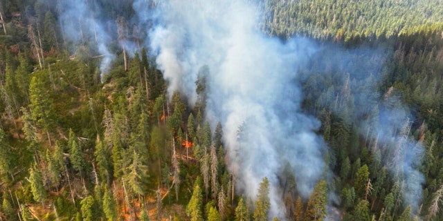In this image, released by the National Park Service, the smoke from the Washington fire near Yophamite National Park, California, Friday, July 8, 2022, at the bottom of Mariposa Grove.