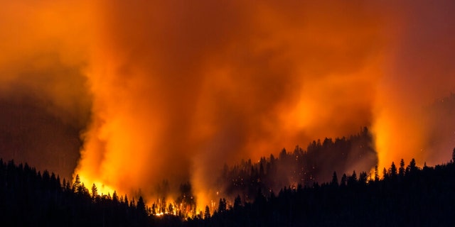 The Washburn Fire burns on a hillside in Yosemite National Park, Calif., Saturday, July 9, 2022. 