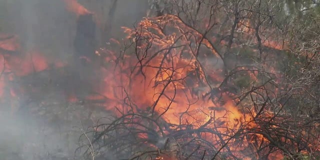 Пожарные борются с пожаром, горящим в Калифорнии.