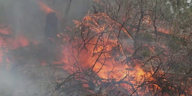 Firefighters are combating a fire burning in California.