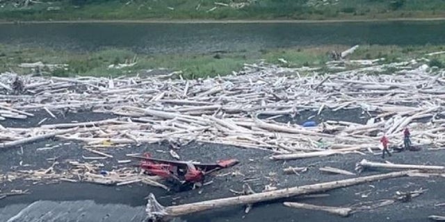 A plane crashed on the shore of Alaska's Montague Island. The Coast Guard rescued the two people aboard Tuesday. 