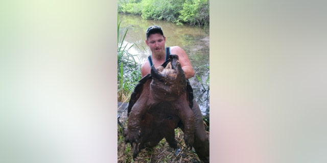 Justin Broomhall, 25, of Longview, Texas, was fishing for catfish on Father's Day when he reeled in this massive alligator snapping turtle and held it up for a photo.