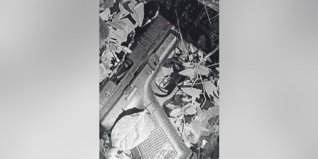 Danzy obtained the firearm, a .22 caliber semiautomatic pistol, from a licensed dealer on March 25. He registered the weapon and gave it to the unnamed individual, or "Individual A," involved in French's death in August. 