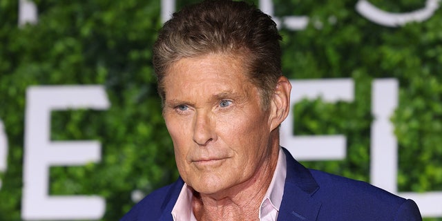 David Hasselhoff had a run-in with a tiger shark while filming a special for The Underwater Channel. He tricked the shark with a piece of bait and was able to get away.