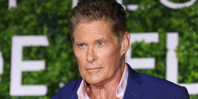 David Hasselhoff had a run-in with a tiger shark while filming a special for The Underwater Channel. He tricked the shark with a piece of bait and was able to get away.