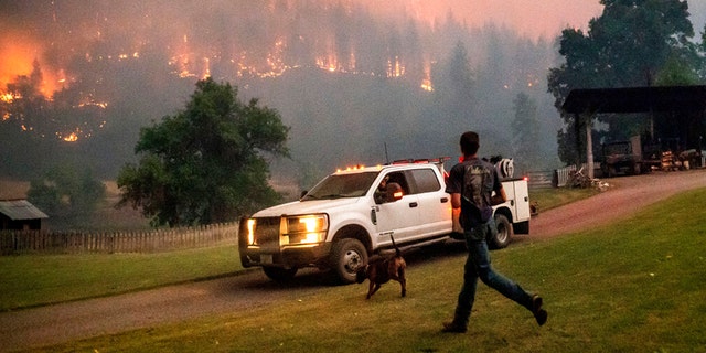Een man rent naar een vrachtwagen terwijl een bosbrand genaamd de McKinney Fire brandt in Klamath National Forest, Californië, 30 juli 2022.
