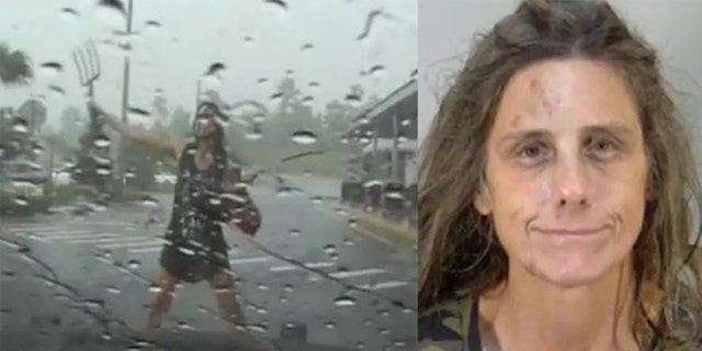 On the left, dash cam footage from the Florida Highway Patrol; Right: a mugshot of Lisa Anne Slone. 