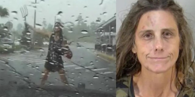 On the left, dash cam footage from the Florida Highway Patrol; Right: a mugshot of Lisa Anne Slone.