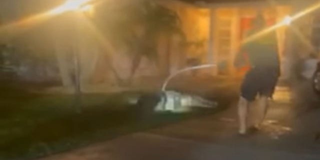A Florida Fish and Wildlife officer attempts to wrangle the gator after a homeowner in Charlotte County, Florida, discovered the creature hiding underneath their Jeep last week.