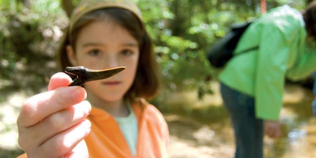 Une petite fille tient l'un de ses nombreux trésors.