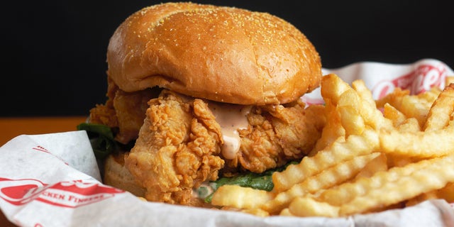 Raising Cane's serves chicken tenders and not a lot else; the chicken sandwich shown is a bun with a few tenders (plus dressing) between it.