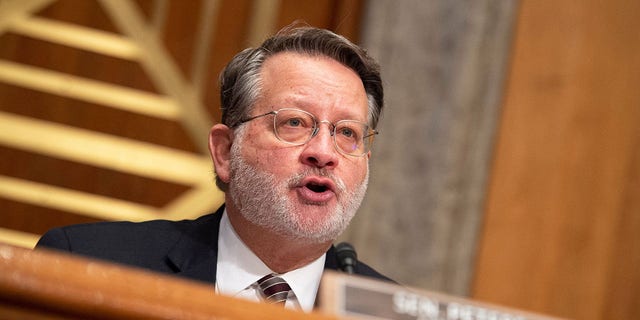 Chair of the Democratic Senatorial Campaign Committee Sen. Gary Peters, D-Mich., speaks during a hearing at the US Capitol in Washington, DC on February 1, 2022.