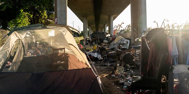 Homeless encampments of tents hidden underneath Route I-80 along Roseville Road in Sacramento, California.