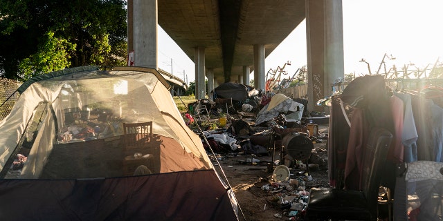 Homeless encampments of tents hidden underneath Route I-80 along Roseville Road in Sacramento, California.