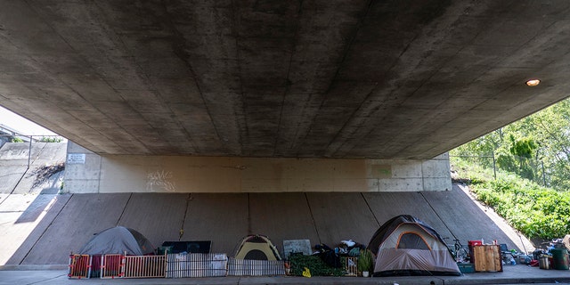 A homeless encampment of tents neatly sit underneath the I-5 freeway in Sacramento, California.