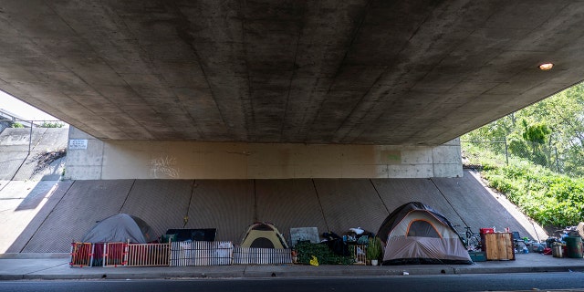 A homeless encampment of tents neatly sit underneath the I-5 freeway in Sacramento, California.