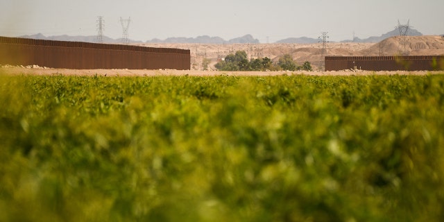 Una brecha en el muro fronterizo entre Estados Unidos y México se ve desde tierras de cultivo en Yuma, Arizona, el 1 de junio de 2022.