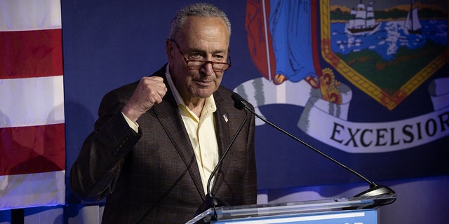 U.S. Senate Majority Leader Chuck Schumer (D-NY) speaks during the primary election night party for New York Governor in New York City on June 28, 2022.