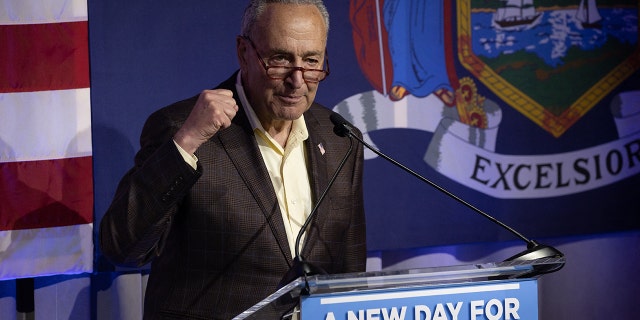 U.S. Senate Majority Leader Chuck Schumer (D-NY) speaks during the primary election night party for New York Governor in New York City on June 28, 2022.