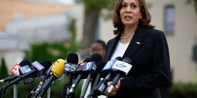 Vice President Kamala Harris has been linked to the Democracy Alliance in the past.