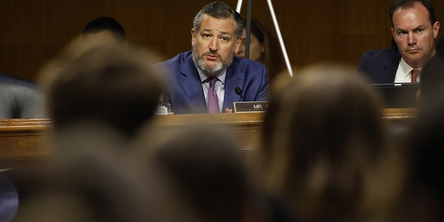 Senator Ted Cruz, a Republican from Texas, speaks during a Senate Judiciary Committee hearing in Washington, D.C., US, on Tuesday, July 12, 2022.