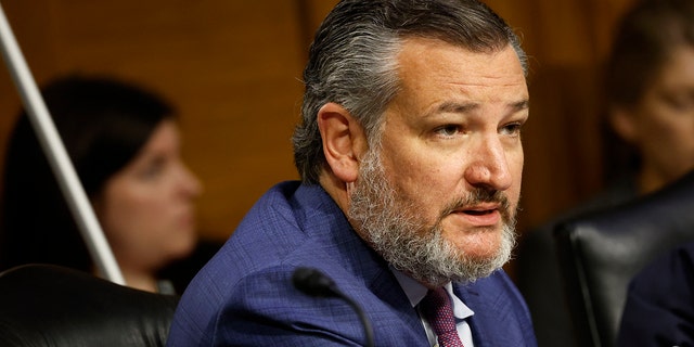 Senator Ted Cruz, a Republican from Texas, speaks during a Senate Judiciary Committee hearing in Washington, D.C., US, on Tuesday, July 12, 2022.