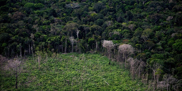 Aerial view showing a deforested area of the Amazon rainforest seen during a flight between Manaus and Manicore, in Amazonas State, Brazil, on June 6, 2022. 