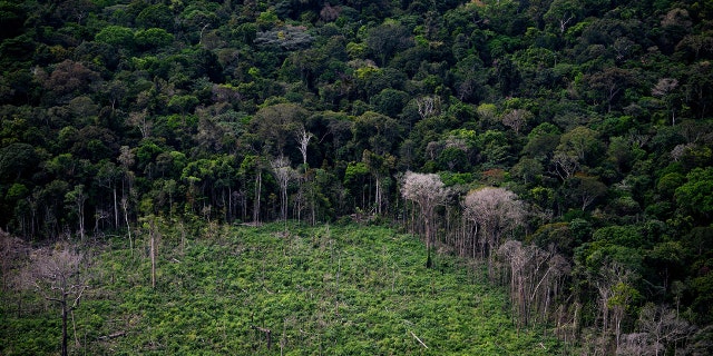 Aerial view showing a deforested area of ​​the Amazon rainforest seen during a flight between Manaus and Manicore, Amazonas state, Brazil, on June 6, 2022. 