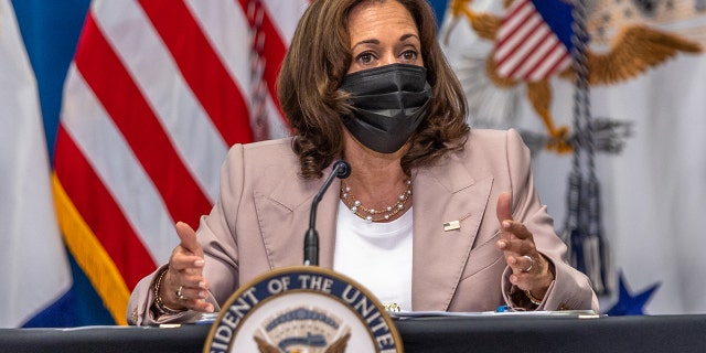 Kamala Harris to visit Indiana as state lawmakers prepare to debate abortion ban bill 3 Vice President Kamala Harris speaks during a meeting with North Carolina state lawmakers at the Carole Hoefener Center in Charlotte, North Carolina on July 21, 2022.