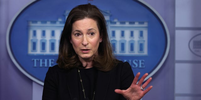 Co-Chair and Executive Director of the Gender Policy Council Jennifer Klein speaks during a daily press briefing at the James Brady Press Briefing Room of the White House March 8, 2021.