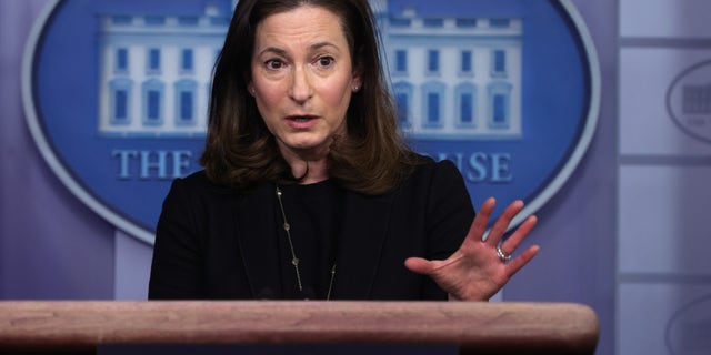 Co-Chair and Executive Director of the Gender Policy Council Jennifer Klein speaks during a daily press briefing at the James Brady Press Briefing Room of the White House March 8, 2021.