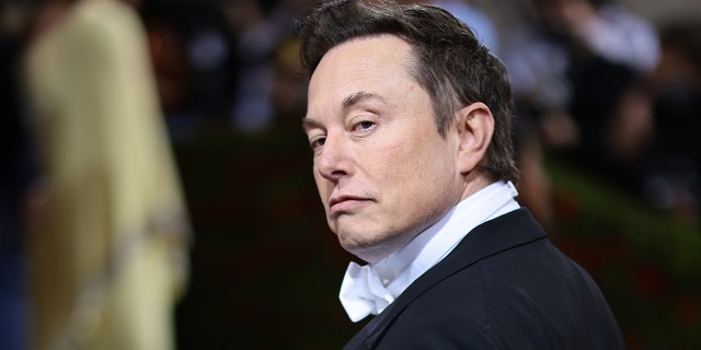 Elon Musk attends the Met Gala celebrating "In America: An Anthology of Fashion" at The Metropolitan Museum of Art on May 2, 2022, in New York City.