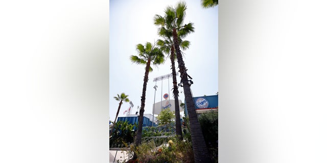 The Southern California labor union representing Dodger Stadium employees