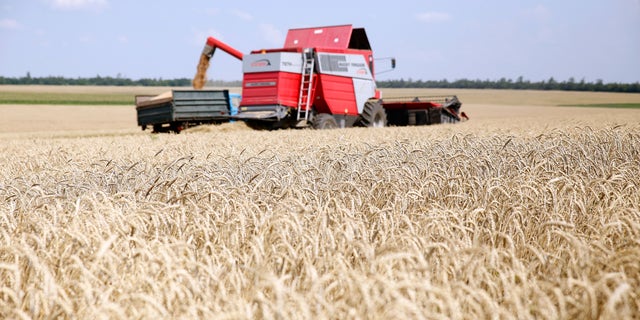 A combine harvester is driven across a wheat field during a harvest for the Nibulon agricultural company in Nikolaev, Ukraine.