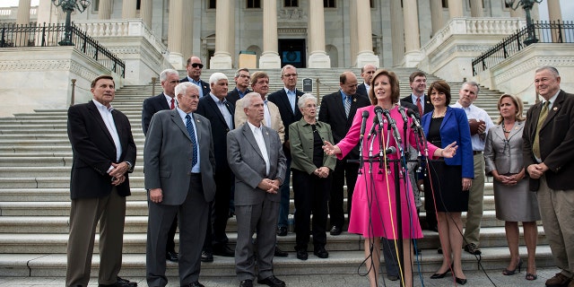 Rep. Vicky Hertzler (R-MO) spoke at a press conference at the US Senate Capitol on September 29, 2013 in Washington.  AFP