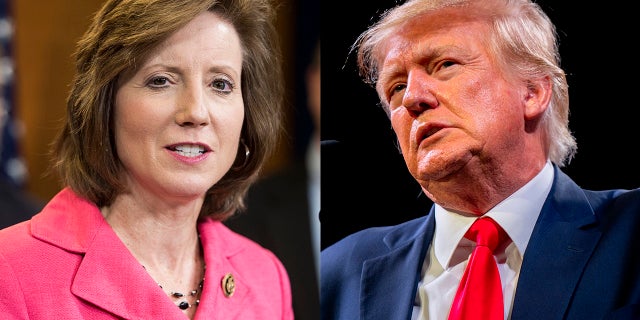 A photo combination of Donald Trump and Vicky Hartzler.  Former US President Donald Trump speaks during the American Freedom Tour at the Austin Convention Center on May 14, 2022 in Austin, Texas.  (Brandon Bell/Getty Images)