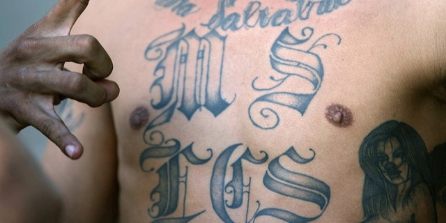 MS-13 is a transnational gang made up mostly of individuals of Salvadoran or other Central American descent, according to the DOJ.
