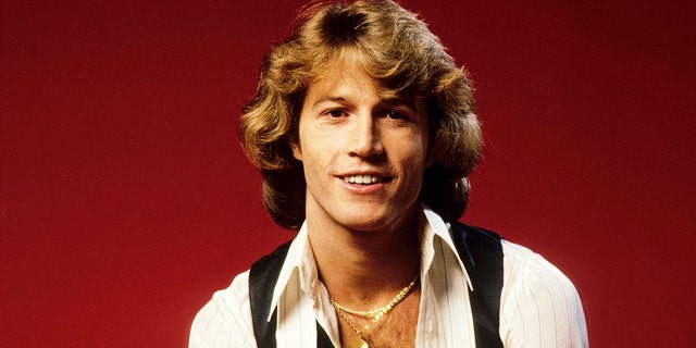 Andy Gibb is the subject of a new biography written by Matthew Hild titled ‘Arrow Through the Heart’.