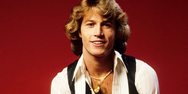 Andy Gibb is the subject of a new book.